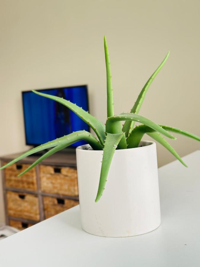 Apartment “beautiful Space” 10 Mtos Airport Jfk The New York