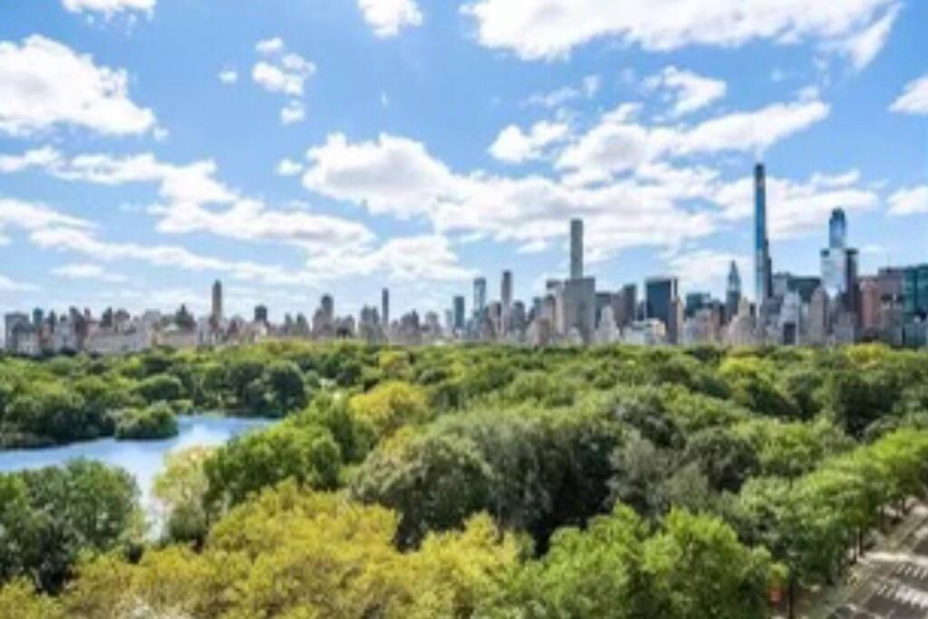 Stunning View Of Park New York
