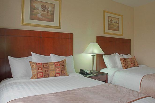 Western Arena 3* New York