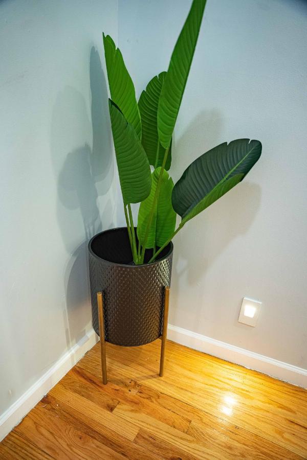 4 Bed Luxury Apt Long Or Short Apartment