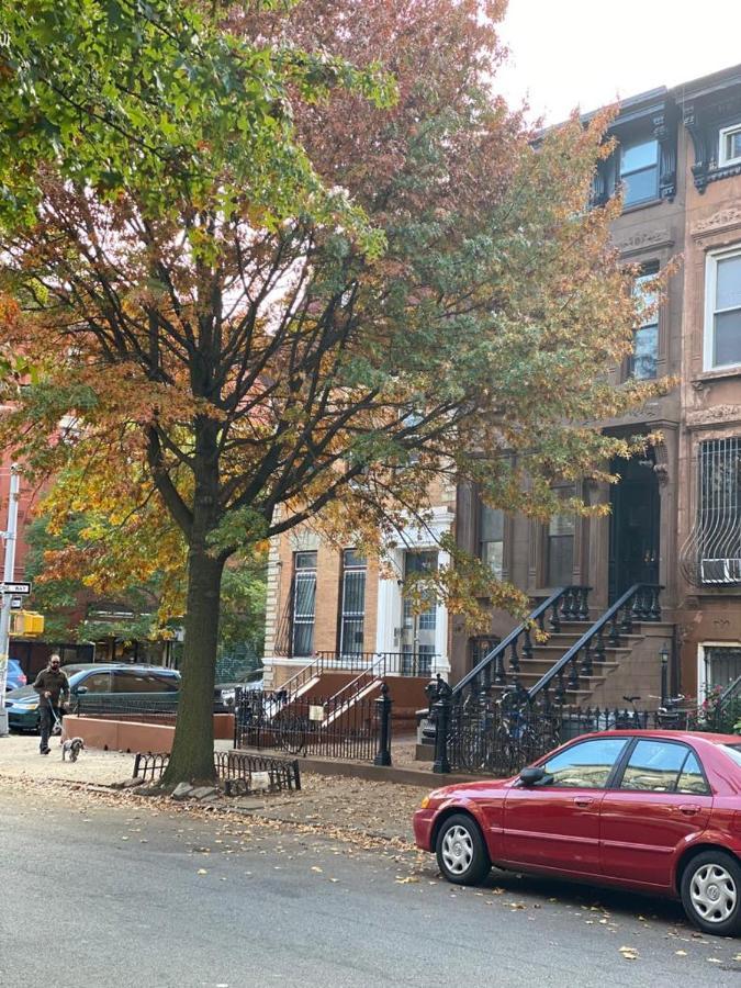 Apartment Wonderful Getaway In Bedford-stuyvesant