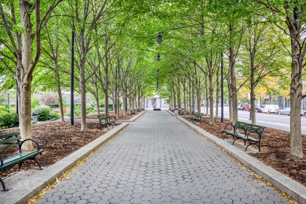 Apartment Fidi Studio W Private Terrace Doorman Nyc-112 New York
