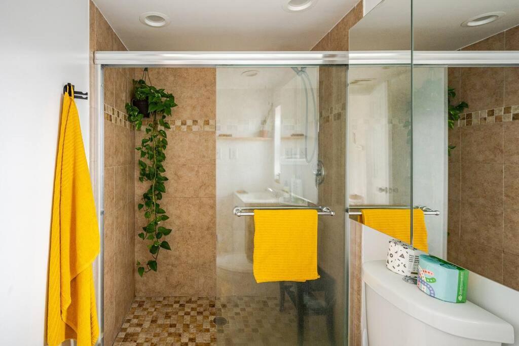 Surf Sanctuary Retreat New York