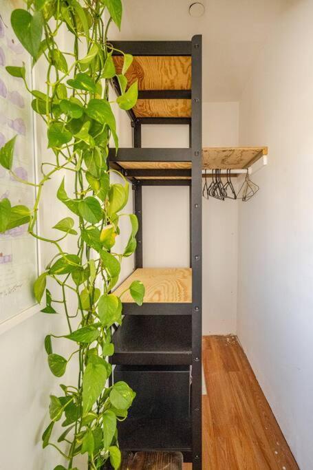 Surf Sanctuary Retreat