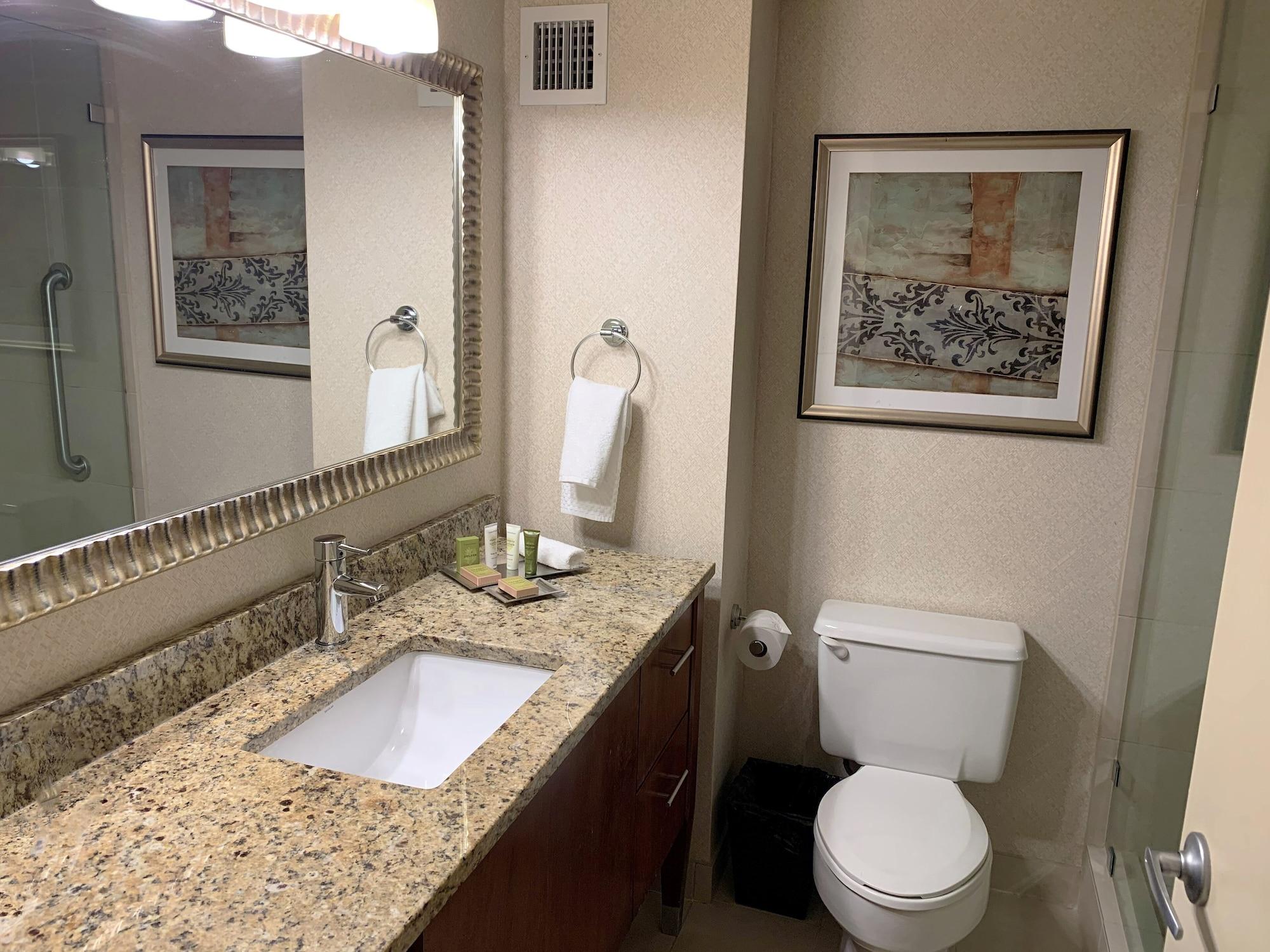 Hotel Hilton Jfk Airport