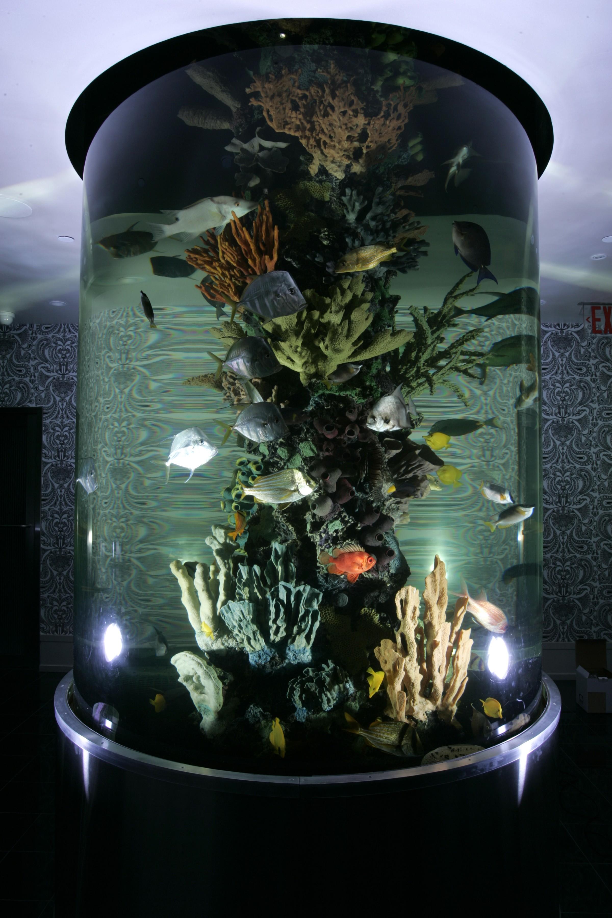 Hotel Dream Midtown, By Hyatt New York