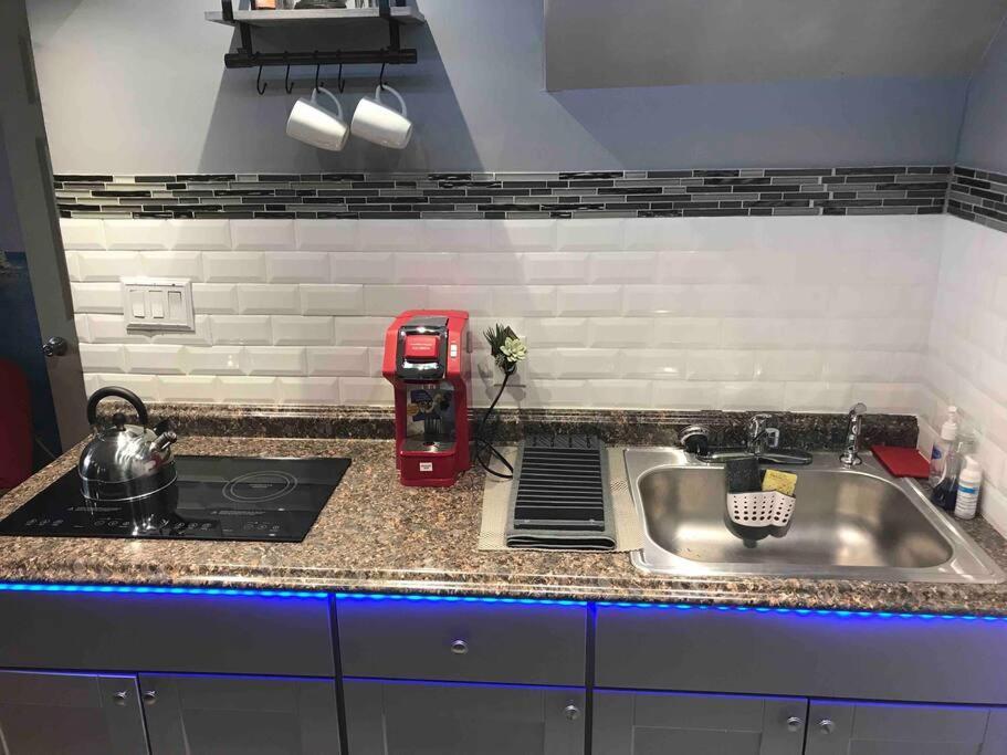 Brooklyn Luxury Spring Retreat With Private Outdoor Space Apartment