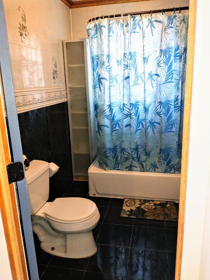 Explore From Queens Apartment