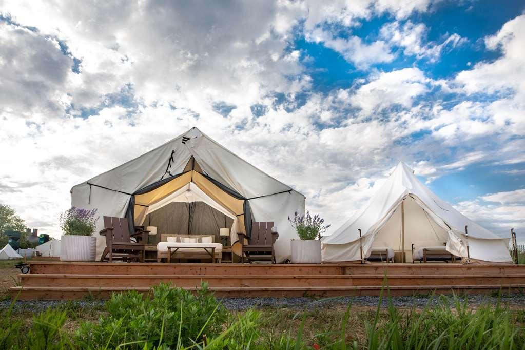 Collective Governors Island A Retrea