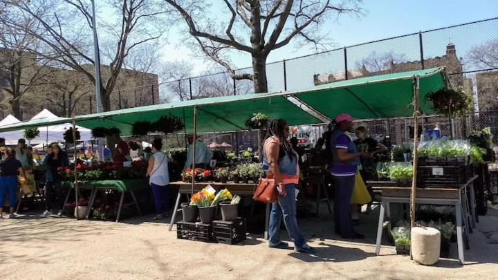 Explore From Queens Apartment *