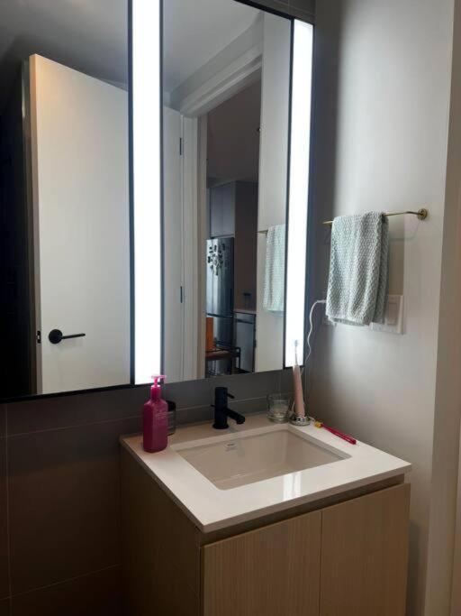 Luxury High-rise Studio Brooklyn Apartment New York