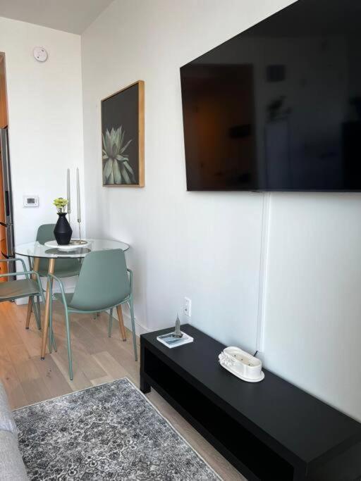 Luxury High-rise Studio Brooklyn New York