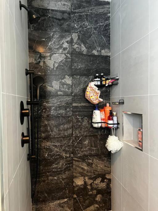 Apartment Luxury High-rise Studio Brooklyn