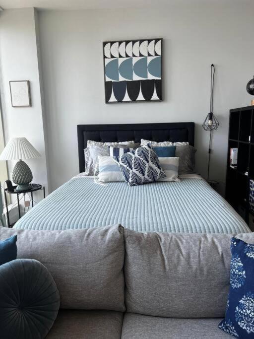Luxury High-rise Studio Brooklyn Apartment New York