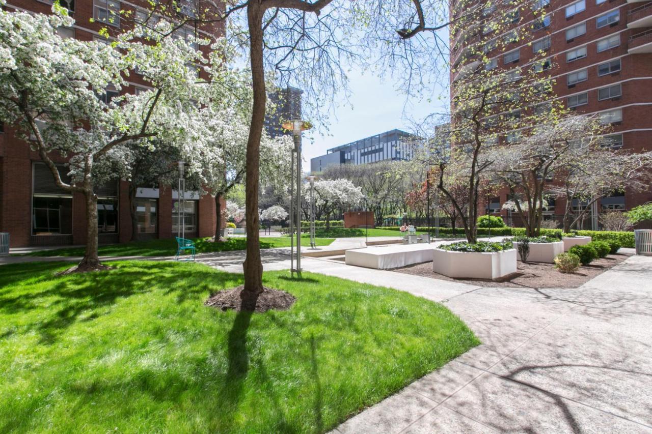 Apartment Kips Bay 1br W Gym Doorman Nr Hospitals Nyc-1271 New York