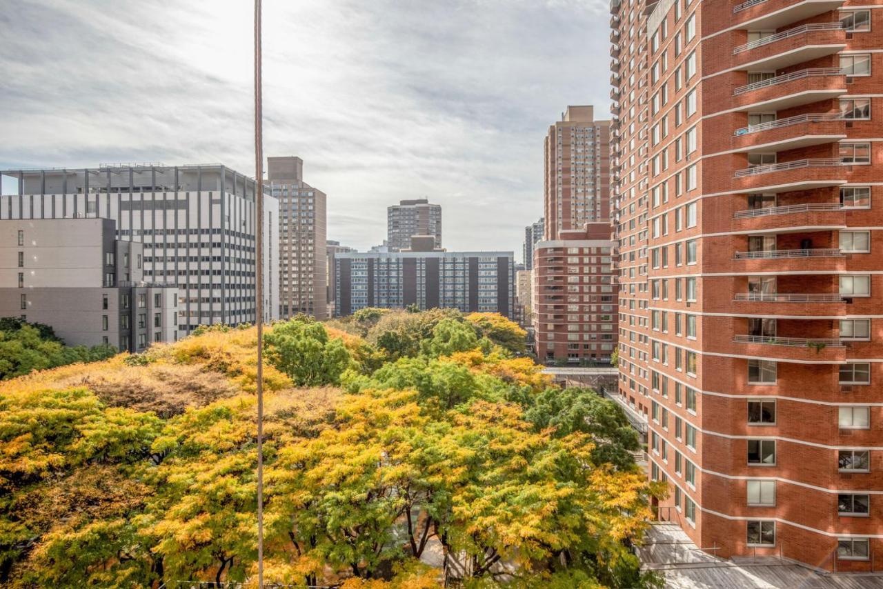 Kips Bay 1br W Elevator Doorman Nr Hospitals Nyc-1273 New York