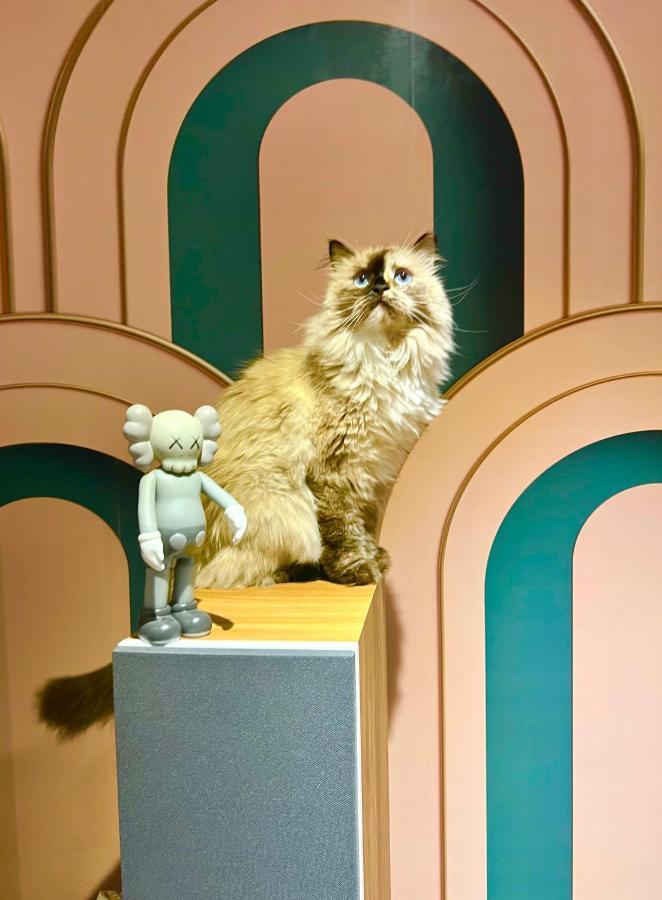 The Waltham Private & Bathroom John F Kennedy Jfk Lga Airport Manhattan Penn Station Bullet-train 15 Min Guest house