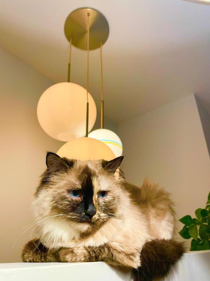 The Waltham Private & Bathroom John F Kennedy Jfk Lga Airport Manhattan Penn Station Bullet-train 15 Min New York