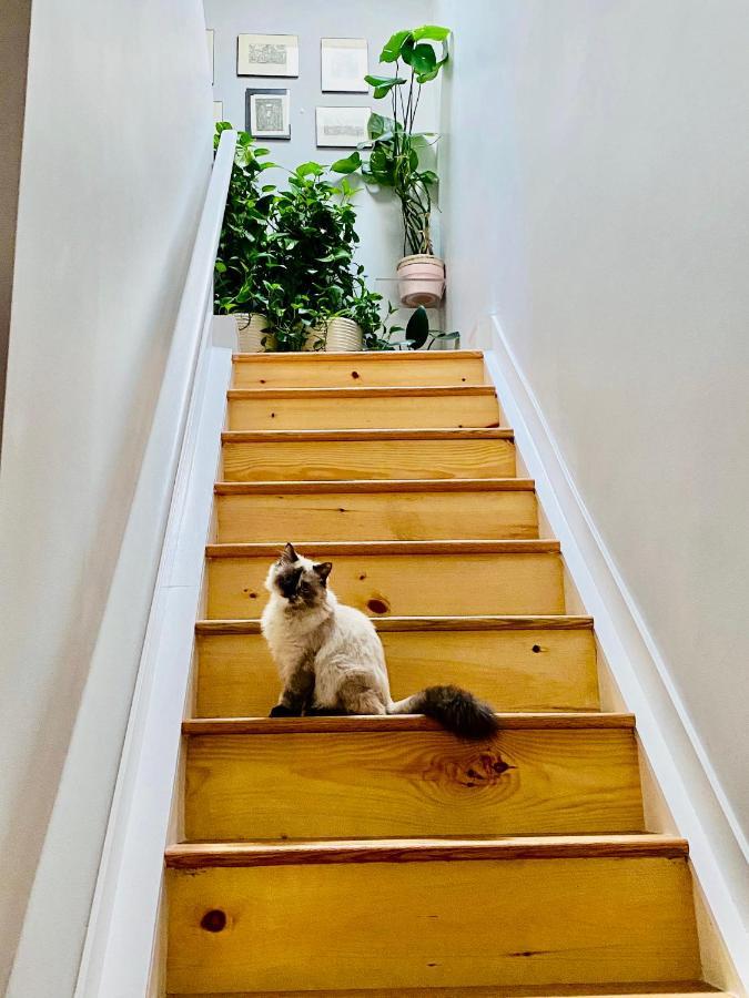 Guest house The Waltham Private & Bathroom John F Kennedy Jfk Lga Airport Manhattan Penn Station Bullet-train 15 Min 3*