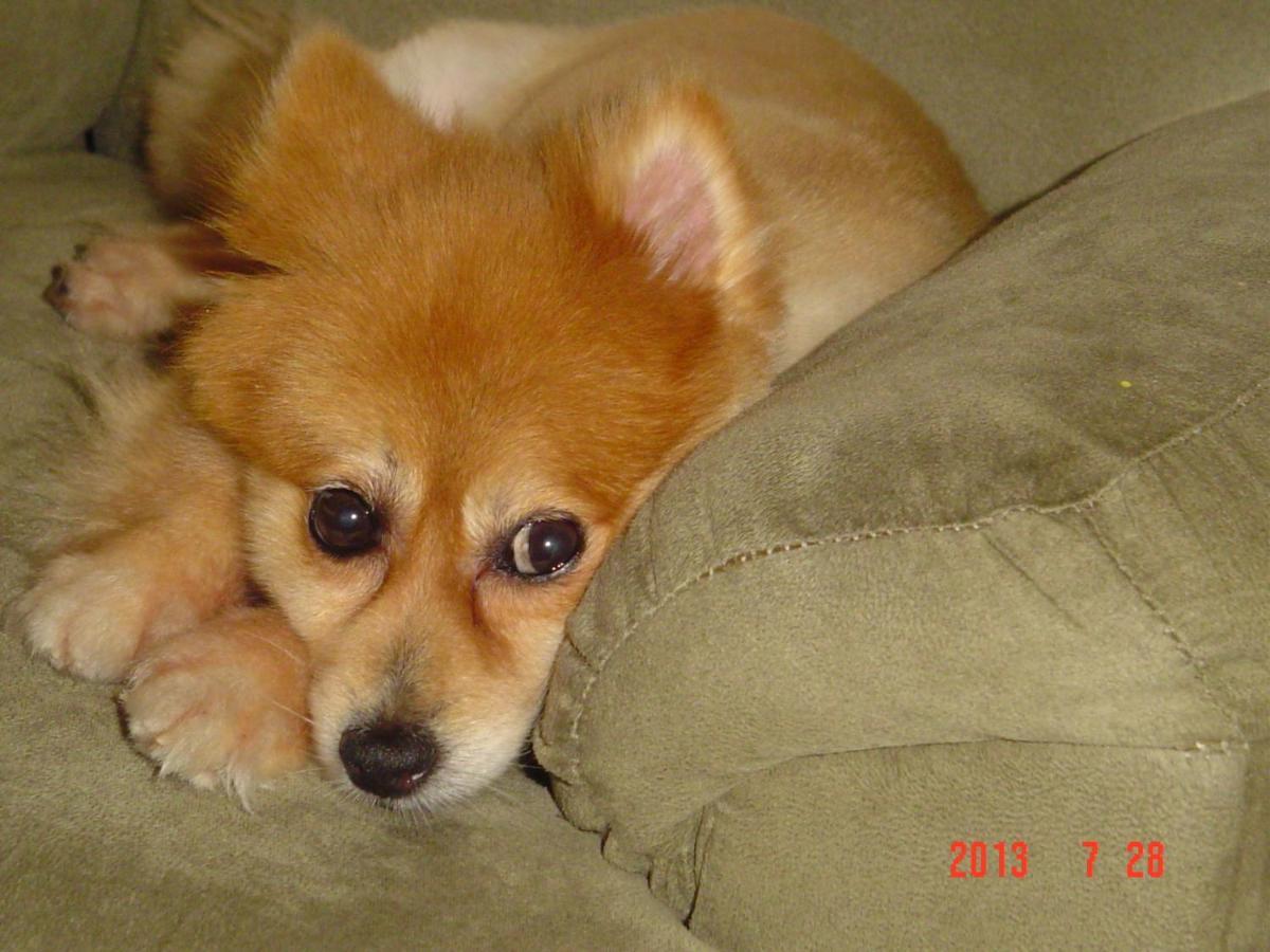 Men House Jfk Airport