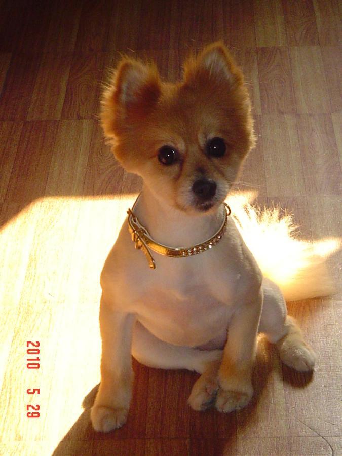 Men House Jfk Airport * New York