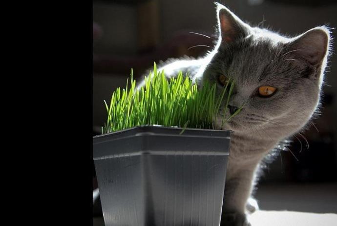 Homestay Men House Jfk Airport *