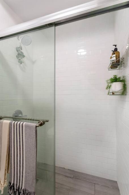 Bright Designer In Historic Harlem Appartement
