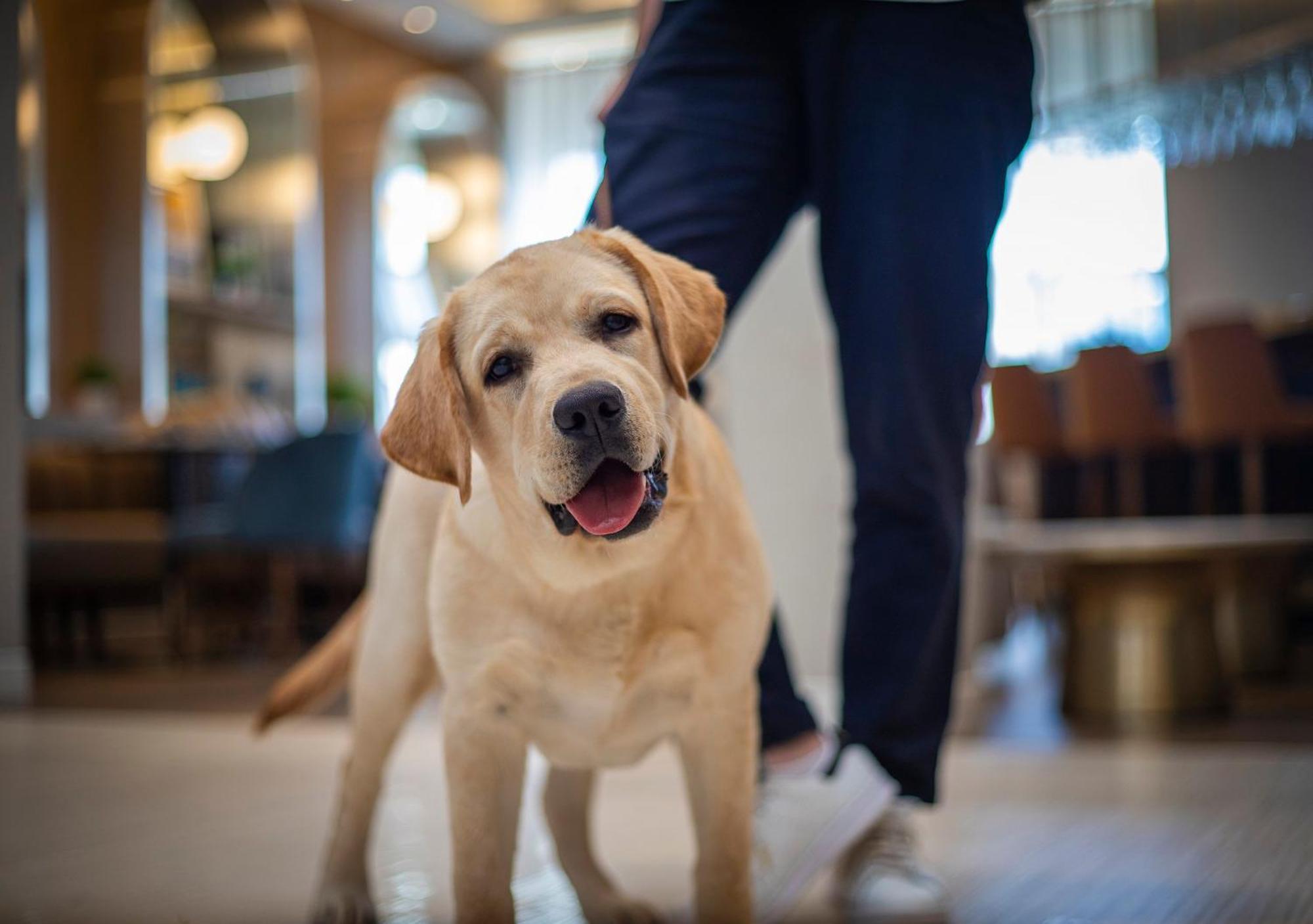 Voco Fiorello - Laguardia Airport By Ihg Hotel New York