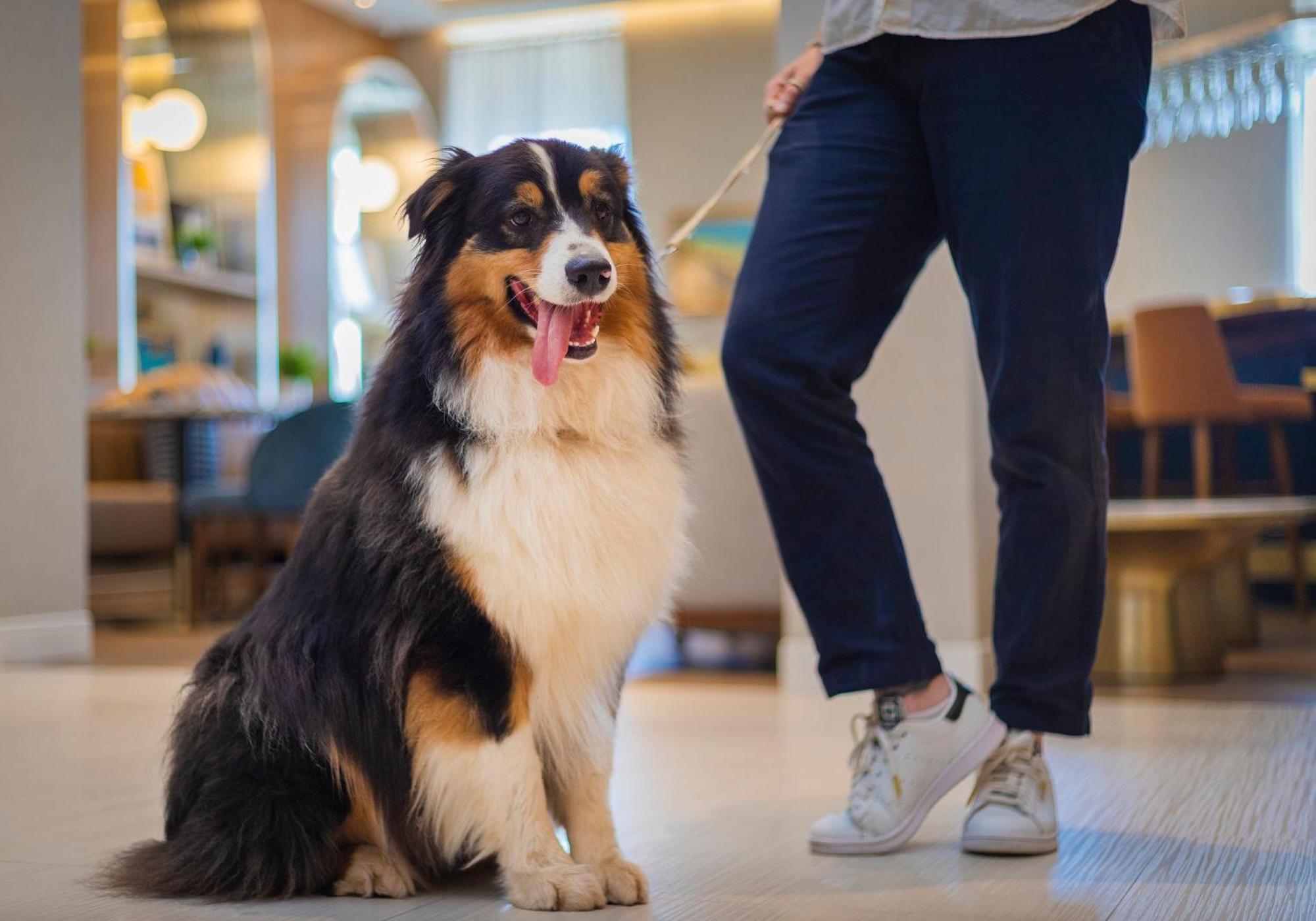 Voco Fiorello - Laguardia Airport By Ihg 4*