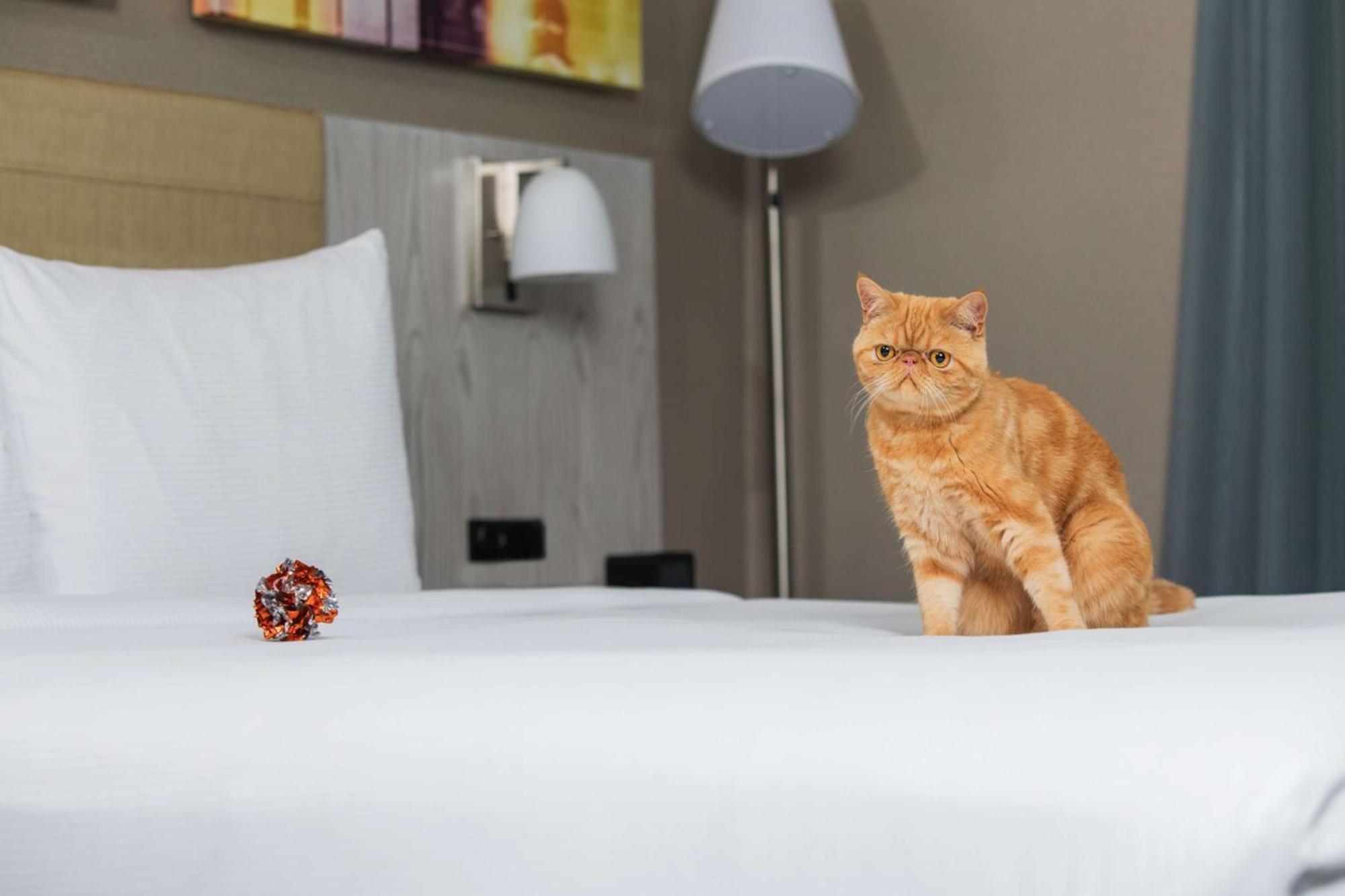 Doubletree By Hilton New York Times Square West Hotel