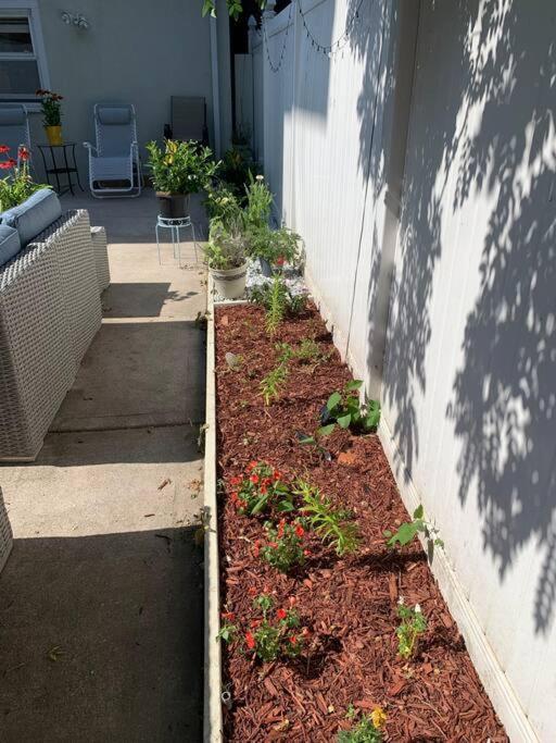 3 Bedroom Duplex W Large Backyard Apartment