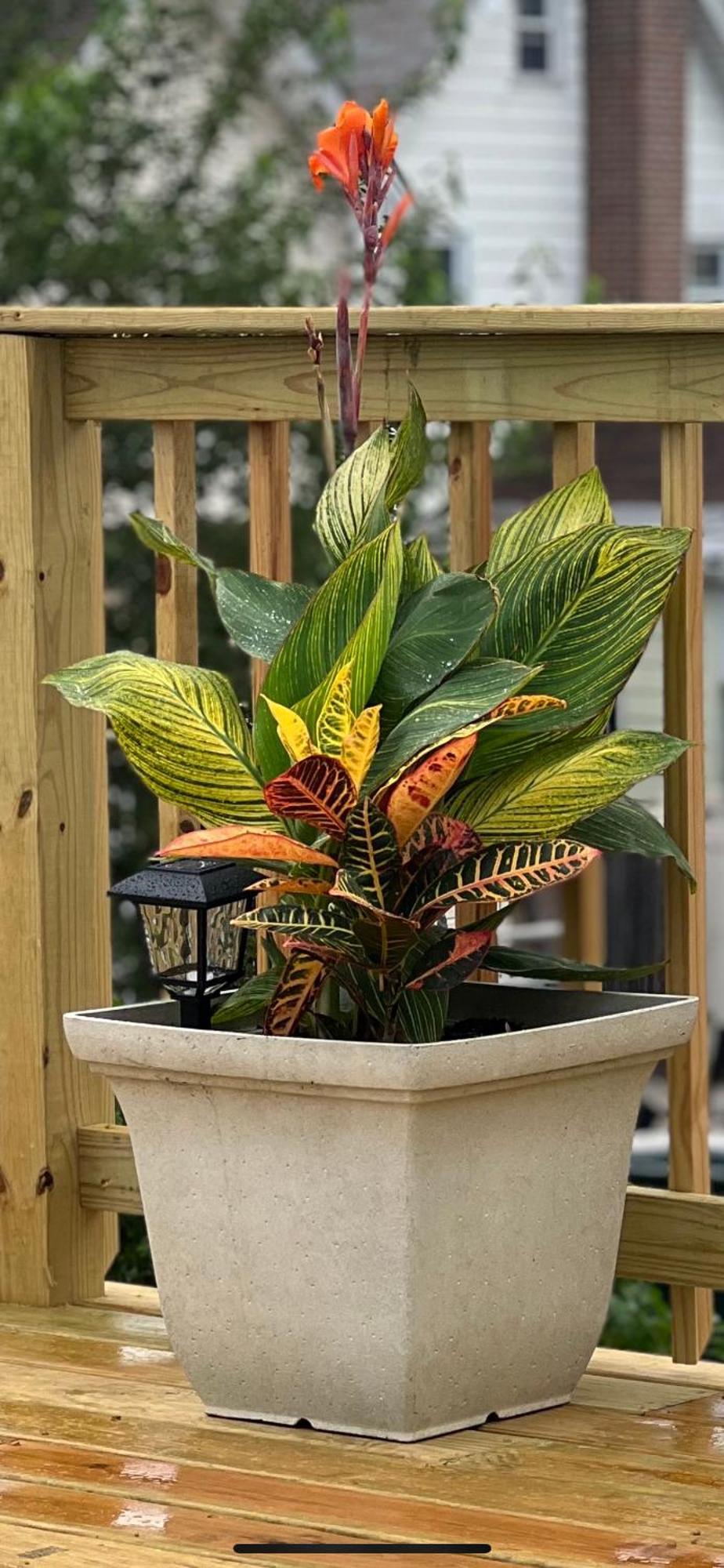 At The Oasis * New York