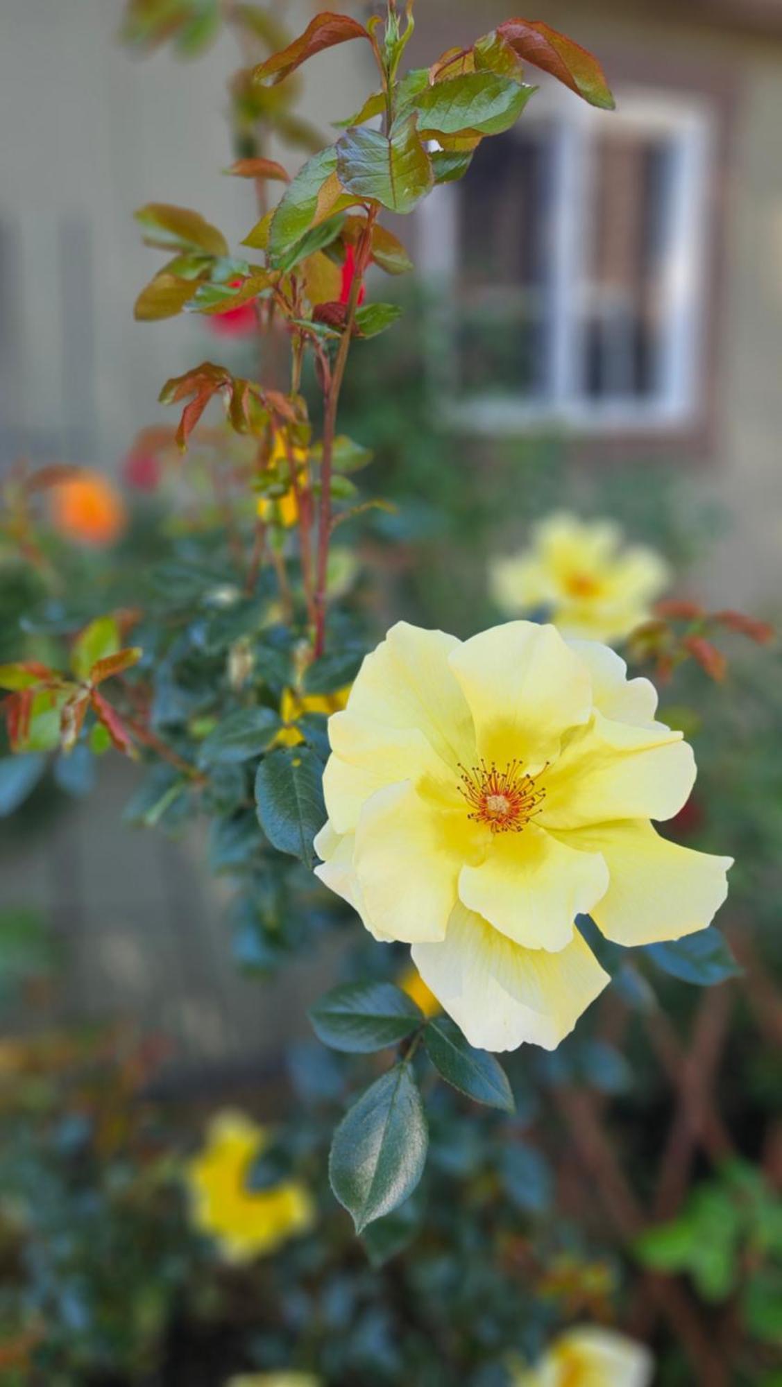 Luxury Hotel-style In Queens, *