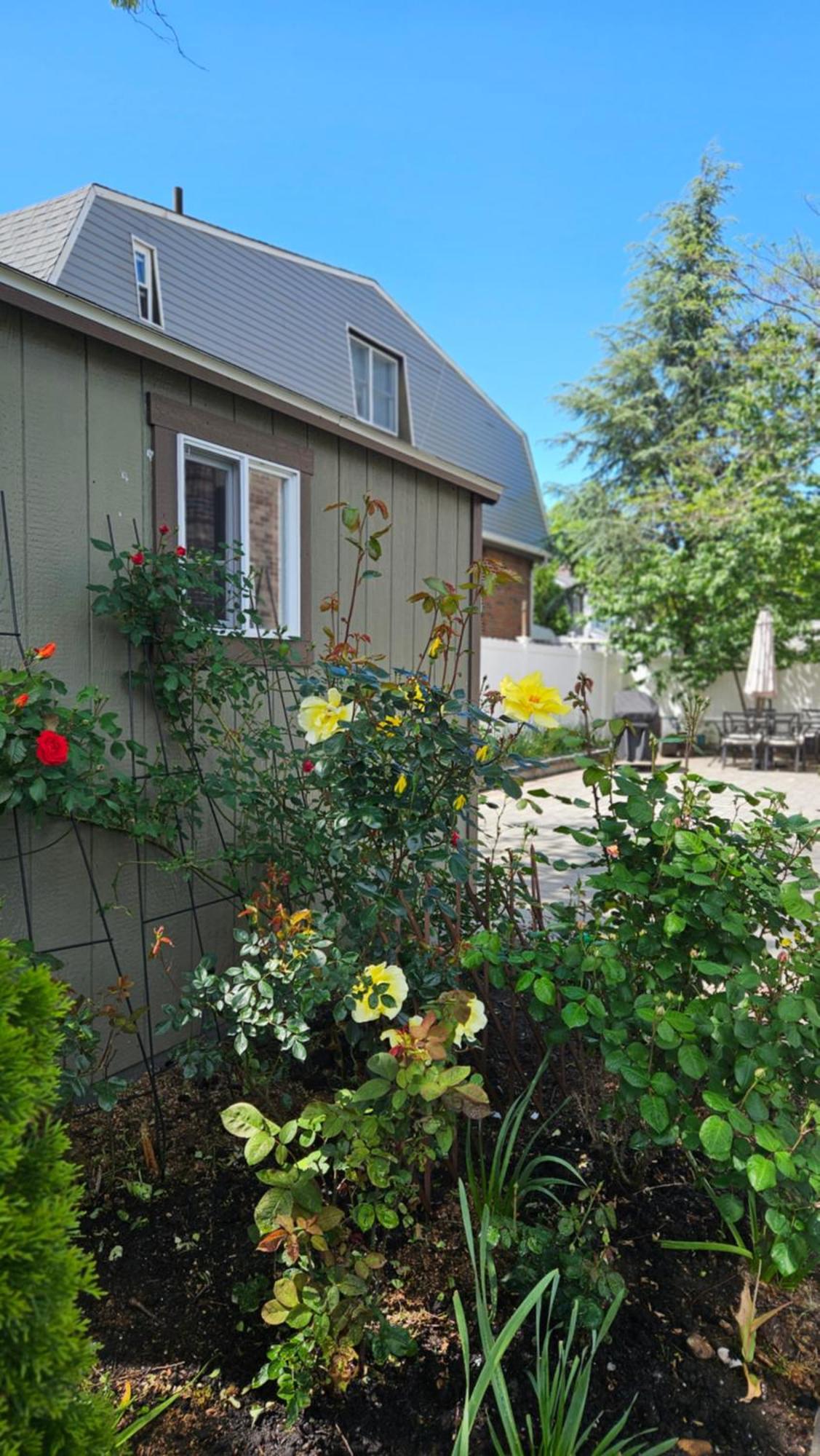 Luxury Hotel-style In Queens, * New York