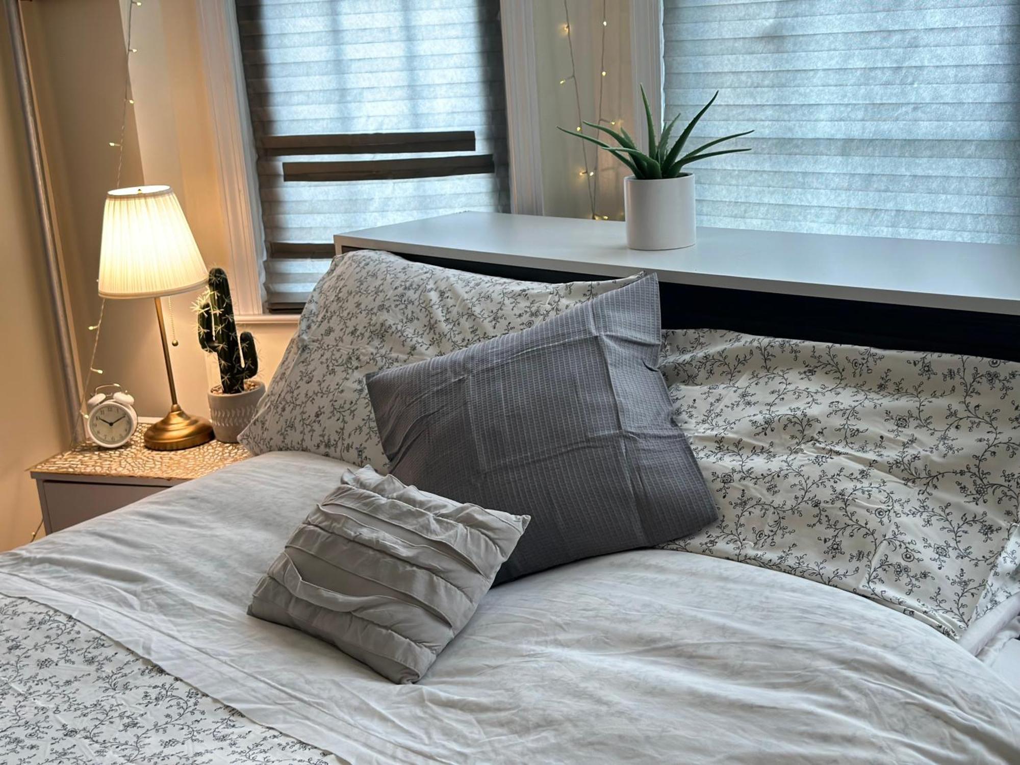 Serenity Jfk Campsite New York