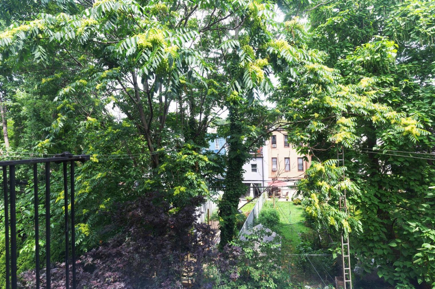 Greenpoint 1br W Wd Nr Mccarren Park Nyc-886