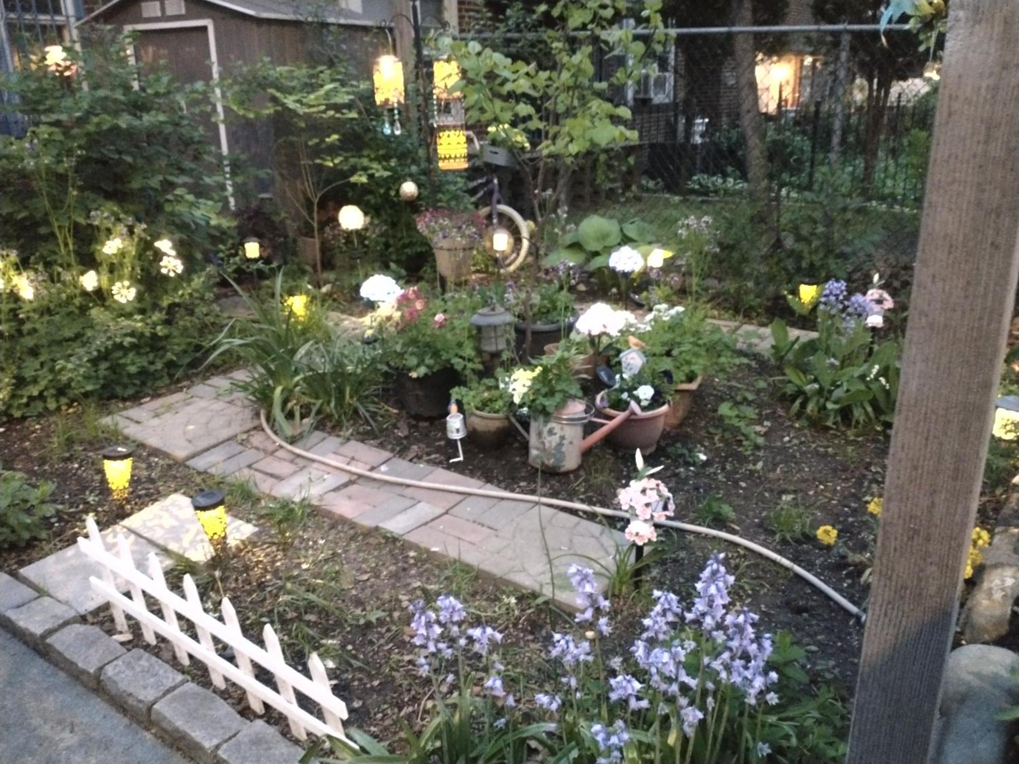 Explore From Queens * New York