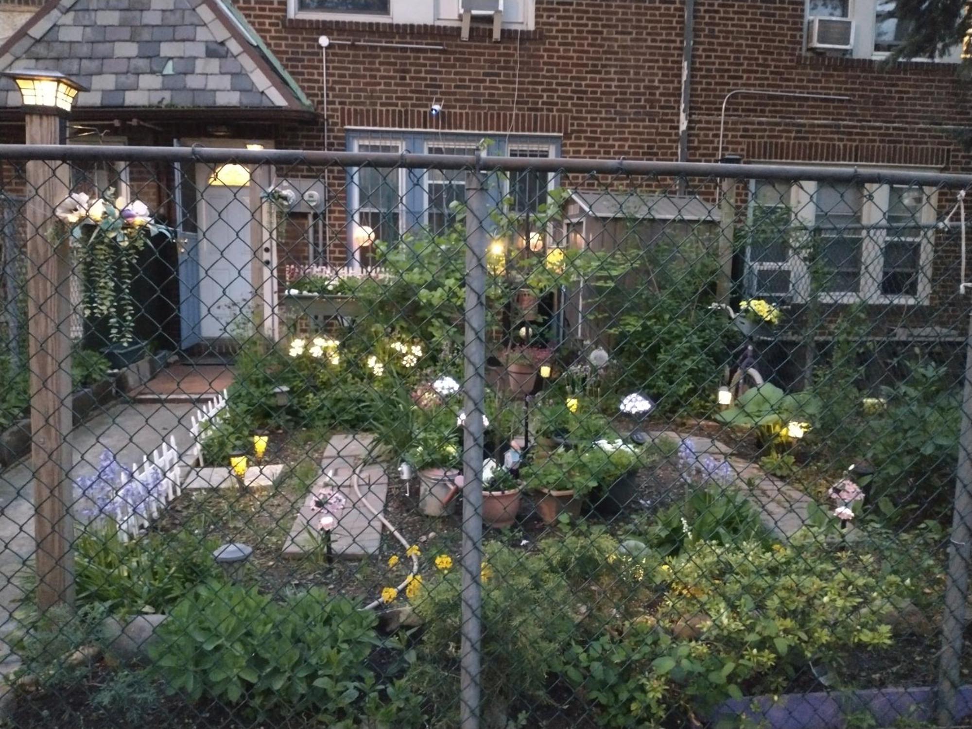 Explore From Queens Apartment *