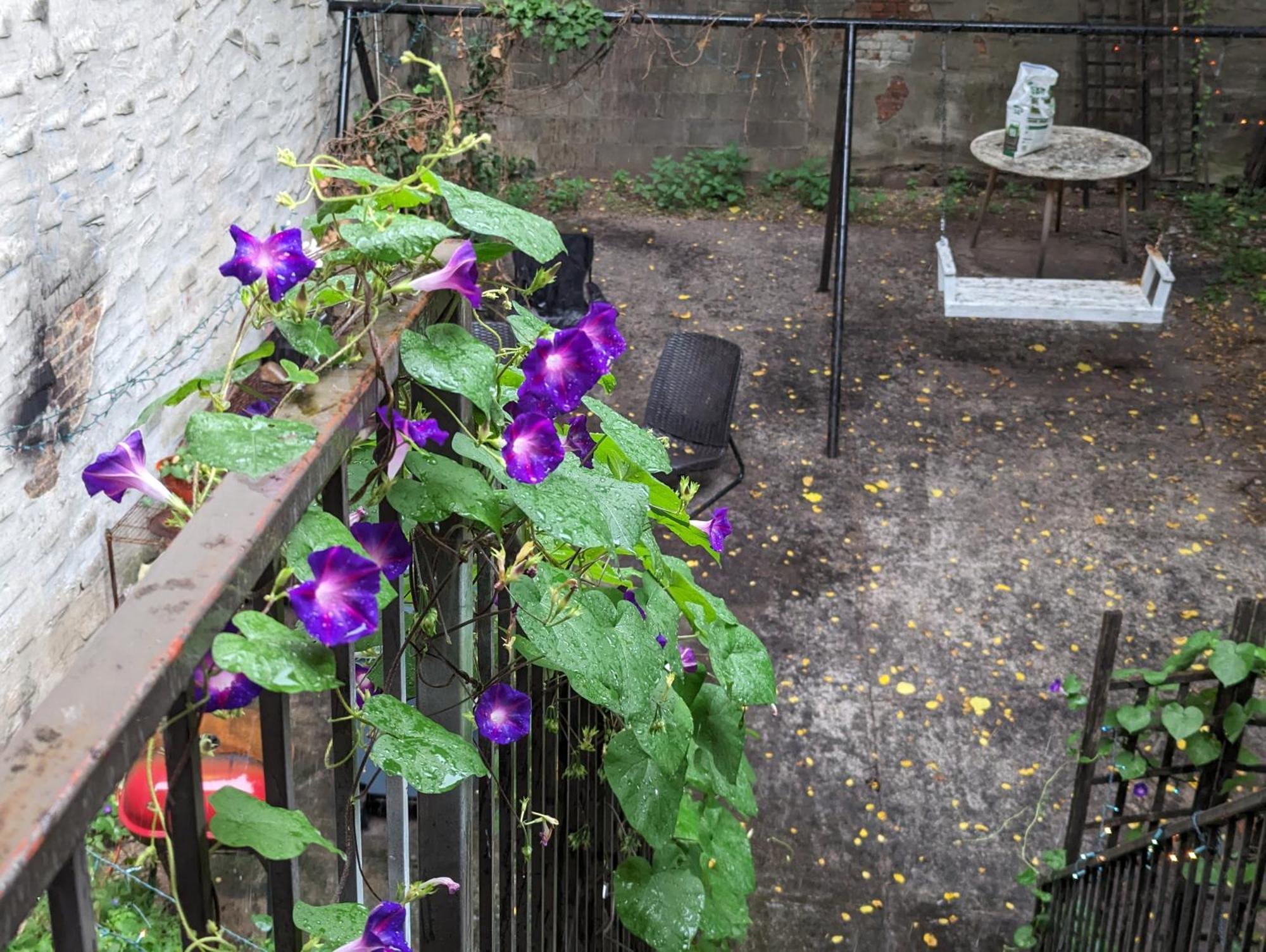 Central & Affordable Williamsburg Private Bedroom Close To Subway Séjour chez l'habitant New York