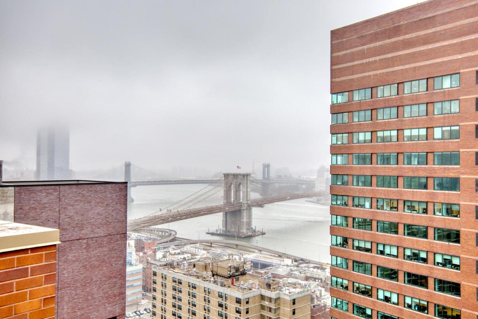 Fidi 1br W Wd Doorman Elevator Roof Nyc-771 New York