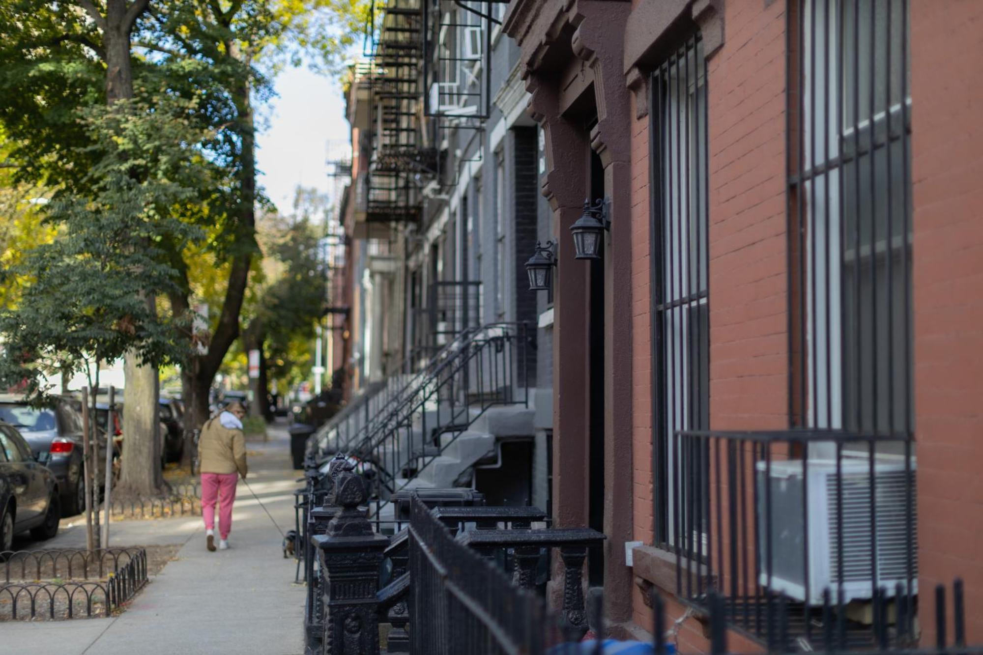 Apartment Manhattan Bridge-brooklyn-un Private Bath New York