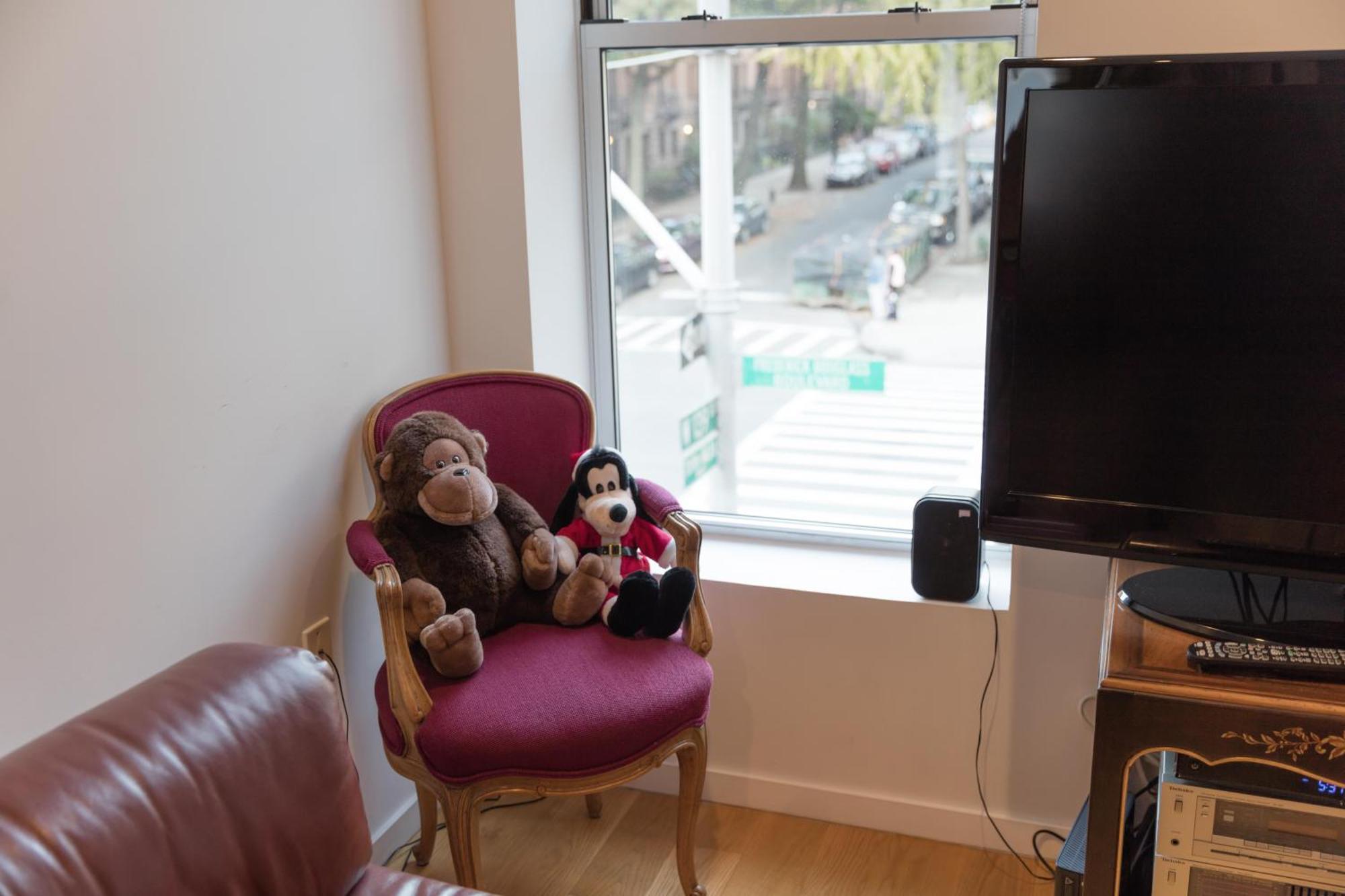 Appartement Beautiful Strivers Row, Harlem New York