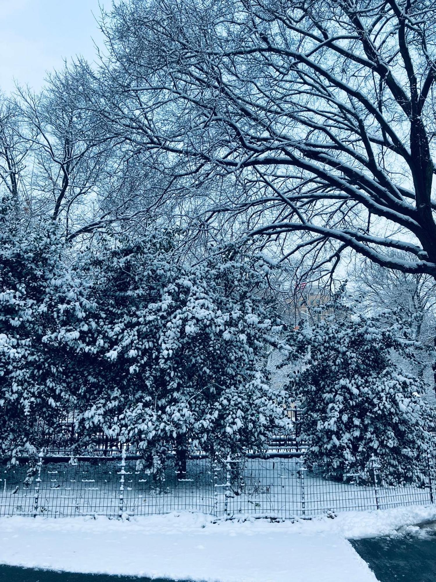 Harlem Grand Bed & Breakfast New York