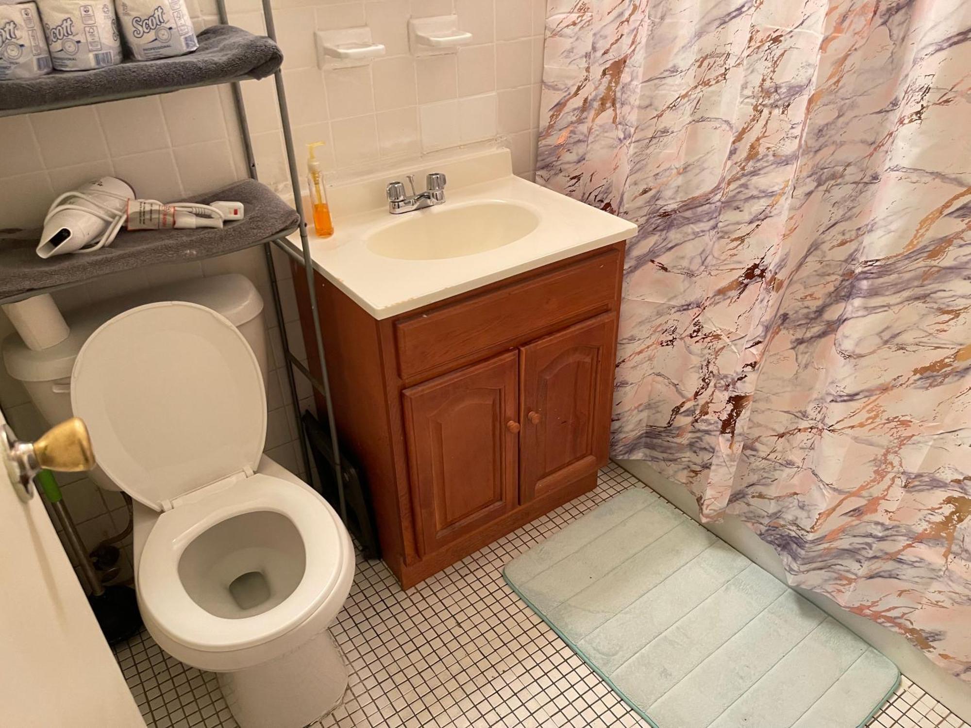 One Bedroom By Month Next To Bronx Zoo