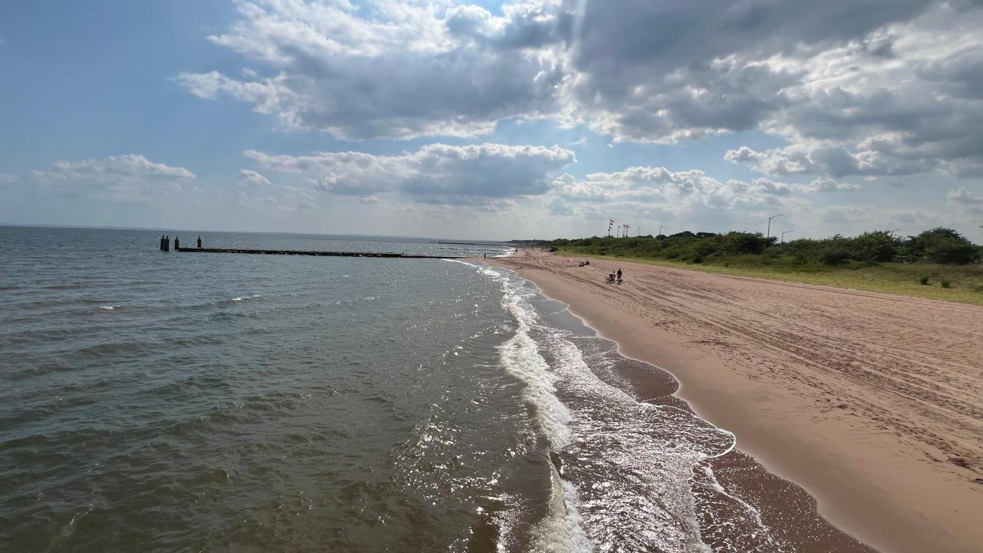 Moon Lotus Abode * New York