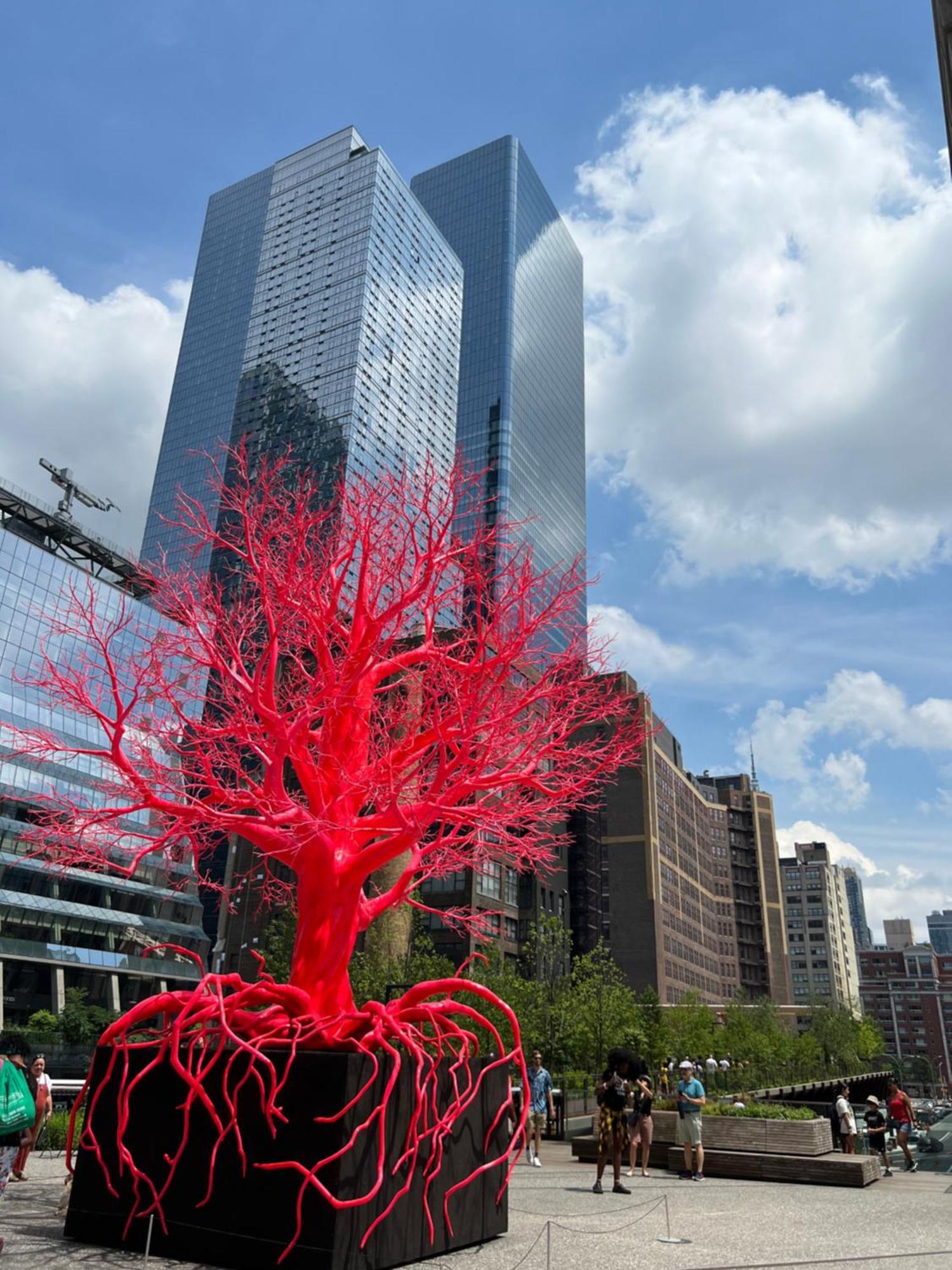 Homestay Moon Lotus Abode *