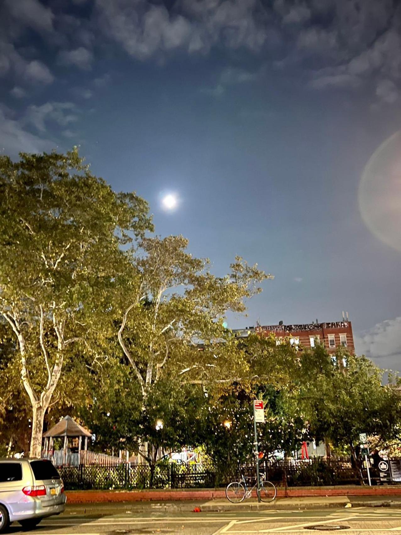 Moon Lotus Abode Homestay