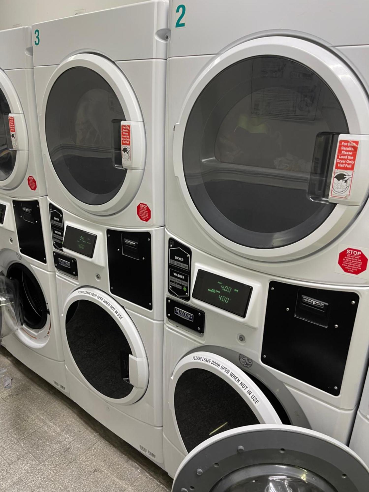 Nest Family - No Window 3* New York