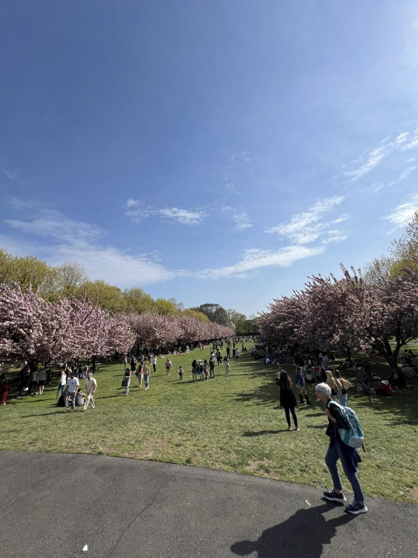 Share Historic Brownstone With The Host! *