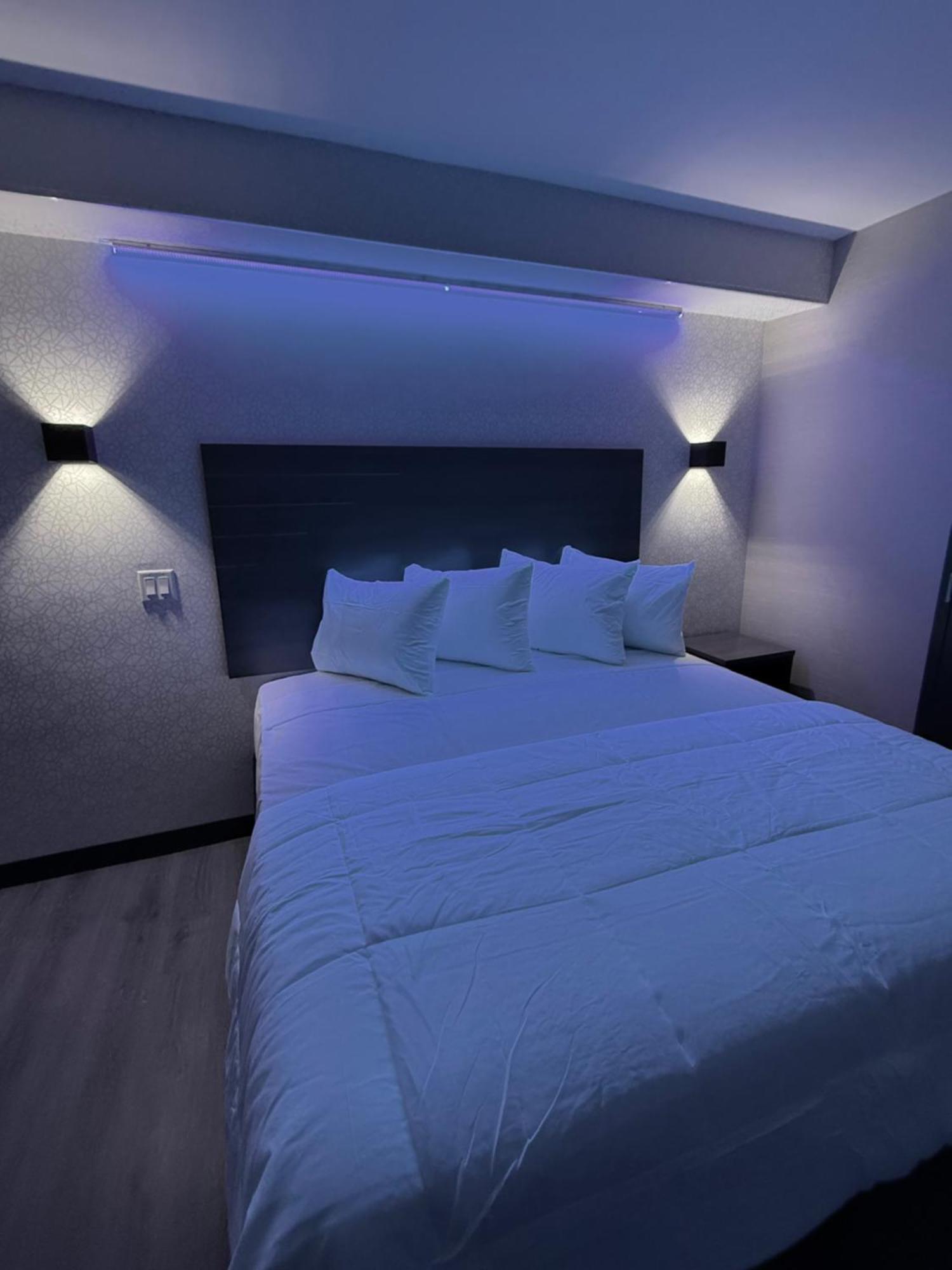 The Vine Bronx New New York